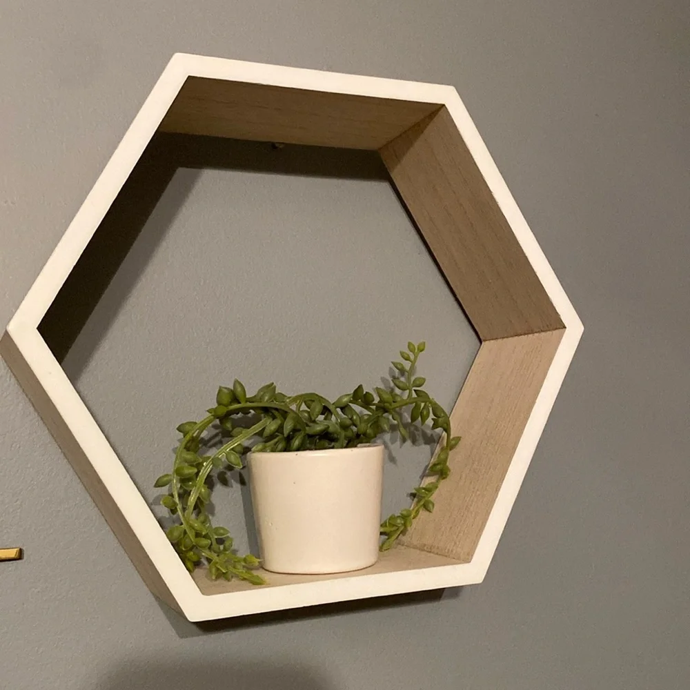 Wall decor with plant